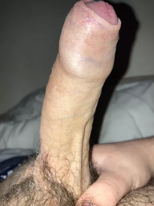 19 uncut Irish cock. Who wants it? by Outrageous_Garchomp