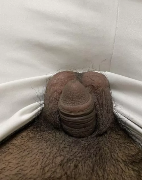 (19) what do you think? by 18chubby