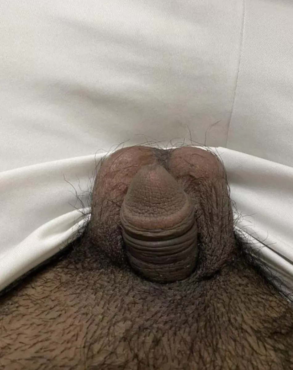 (19) what do you think? posted by 18chubby