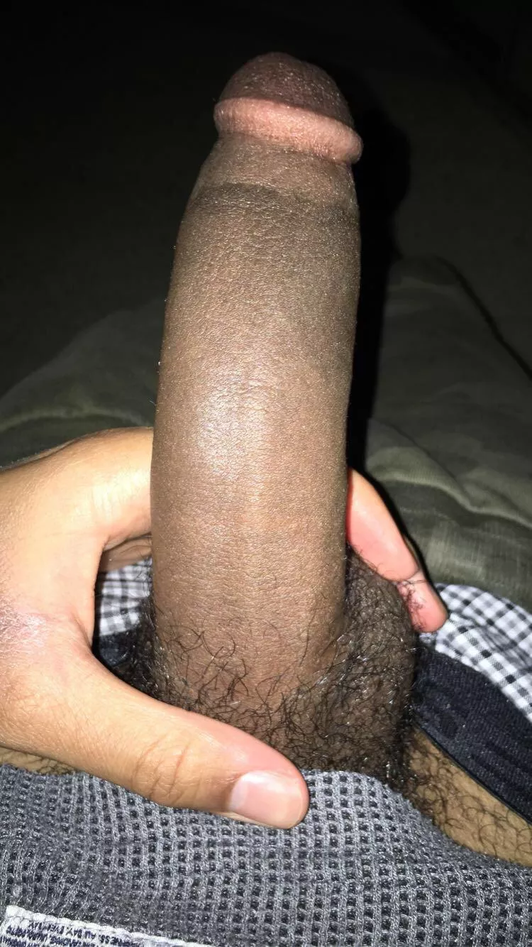 19m with a bbc looking for a superchub who’s super kinky (I want a bottom with bad hygiene, a constant shitty ass, smegma, etc) i only trade on snap and Insta. posted by Reasonable_Refuse190