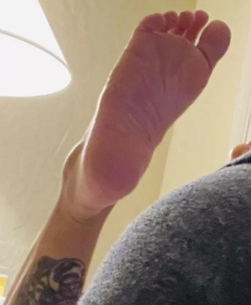 1st person to the Central Valley Ca .. gets it all by Harrypotskins1