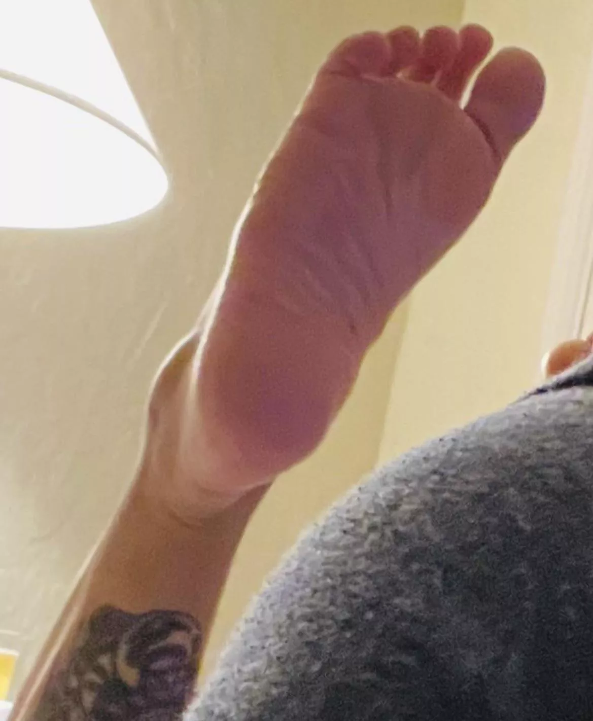 1st person to the Central Valley Ca .. gets it all posted by Harrypotskins1