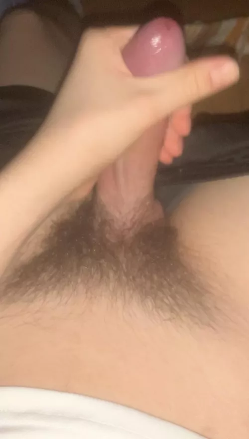 2 months bush by hairyasfdude1234