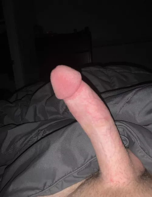 20 and horny feel free to dm me ;) by Puzzleheaded-Tax-167
