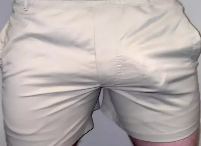 (20) Any other bros a fan of Birddogs shorts? They always show off my cock😉 by damngood001