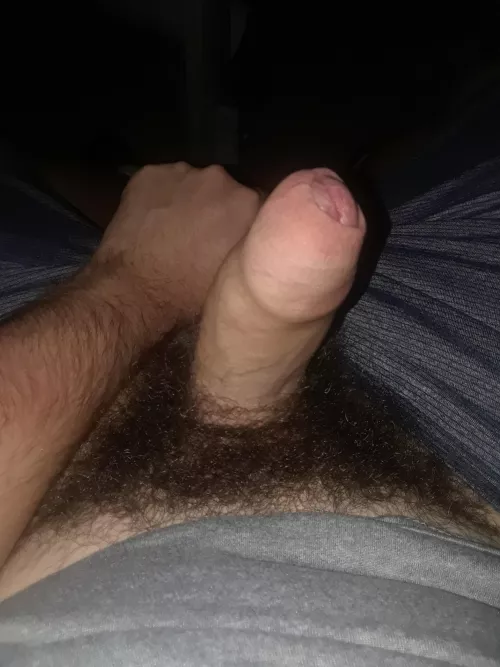 [20] Whippin' it out by KingCroesus02