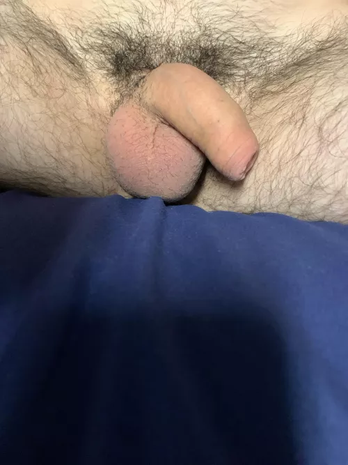 21. Be honest by nick8723