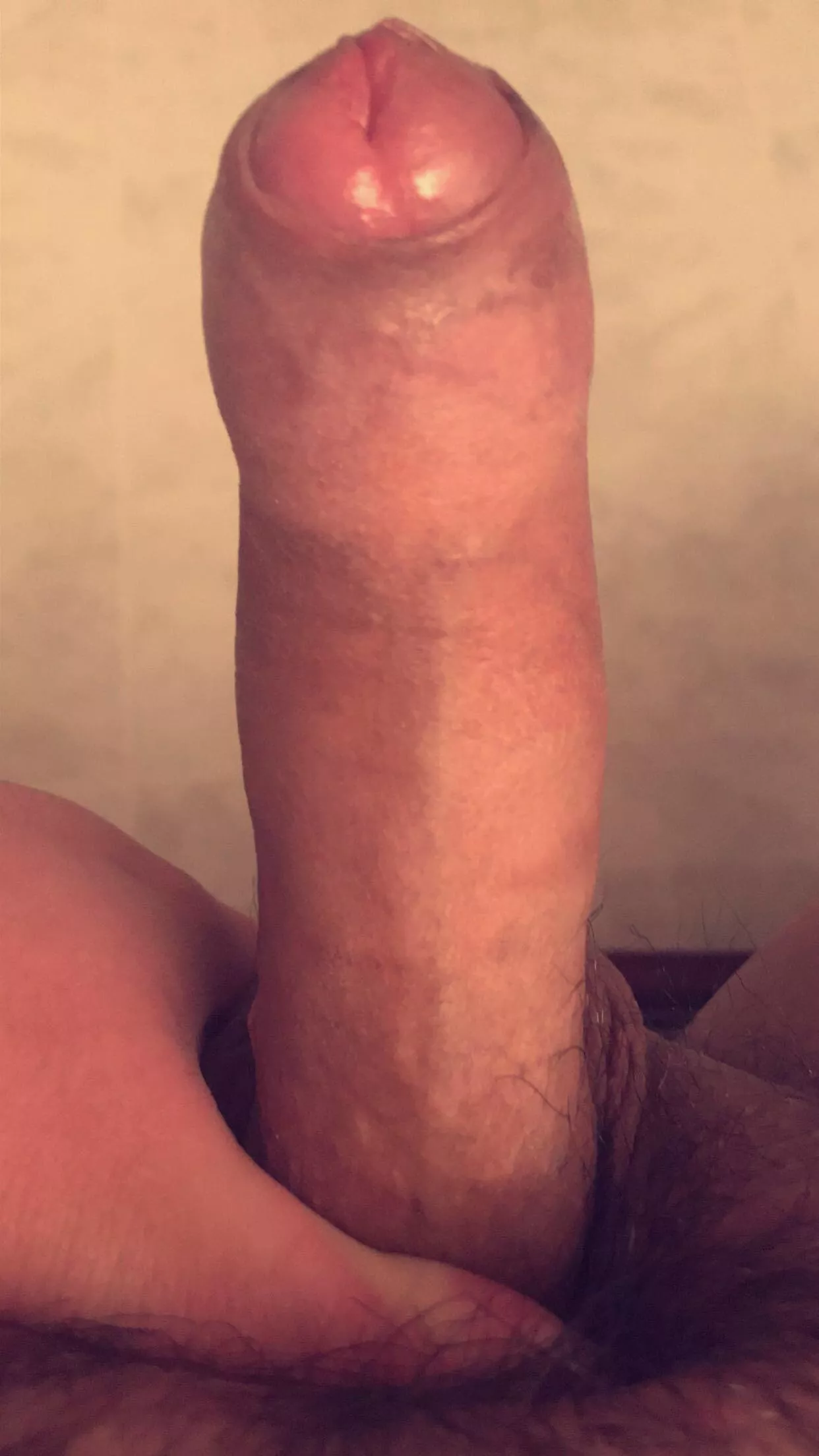 21 feeling the great need to pound the hell out of a thicc bttm sub ass (pm open for pics n check bio) posted by Helpful_Ad_2416