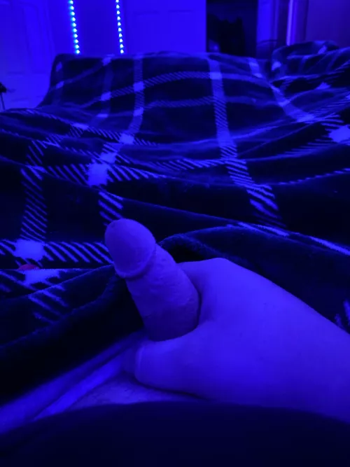 [21] looking for other small fast finishers by Maddog887