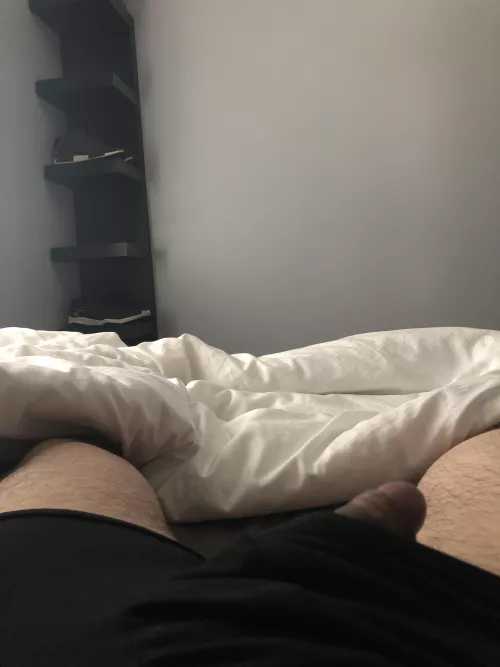 (21) Peeking out this morning by random10929