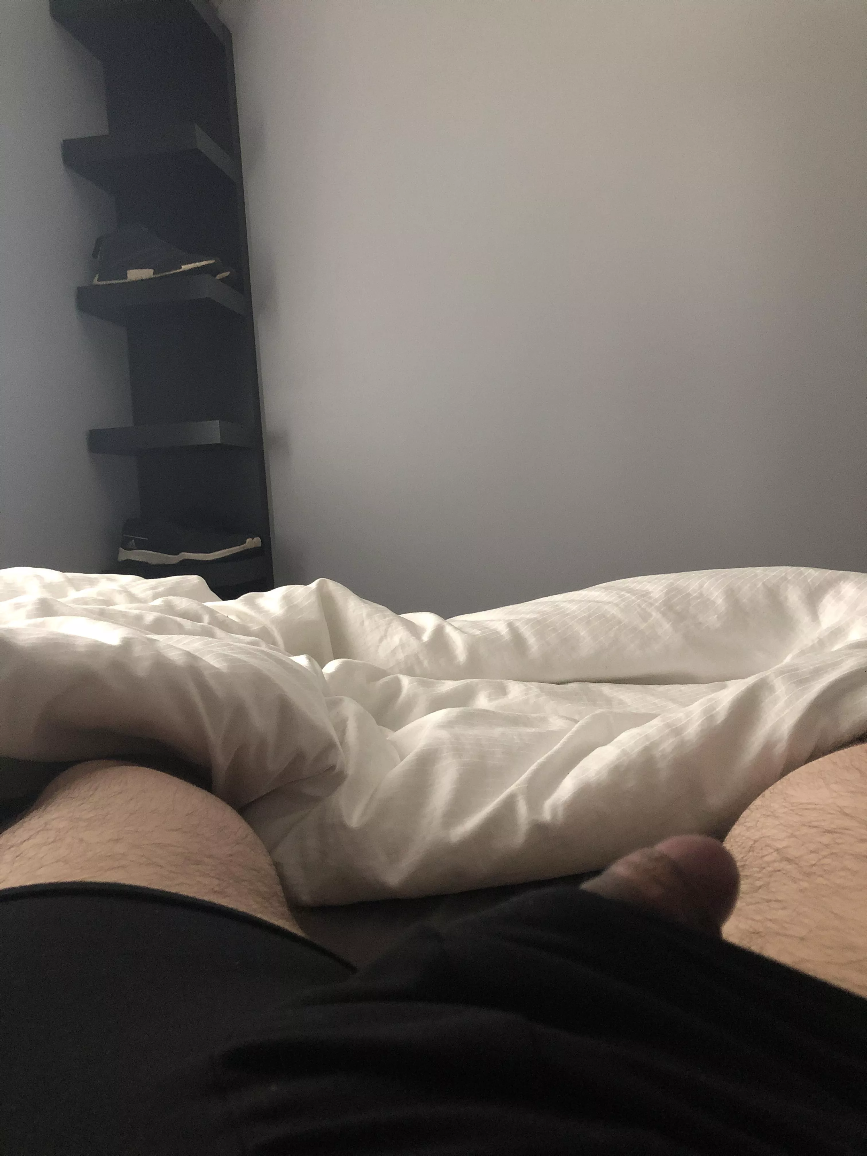 (21) Peeking out this morning posted by random10929