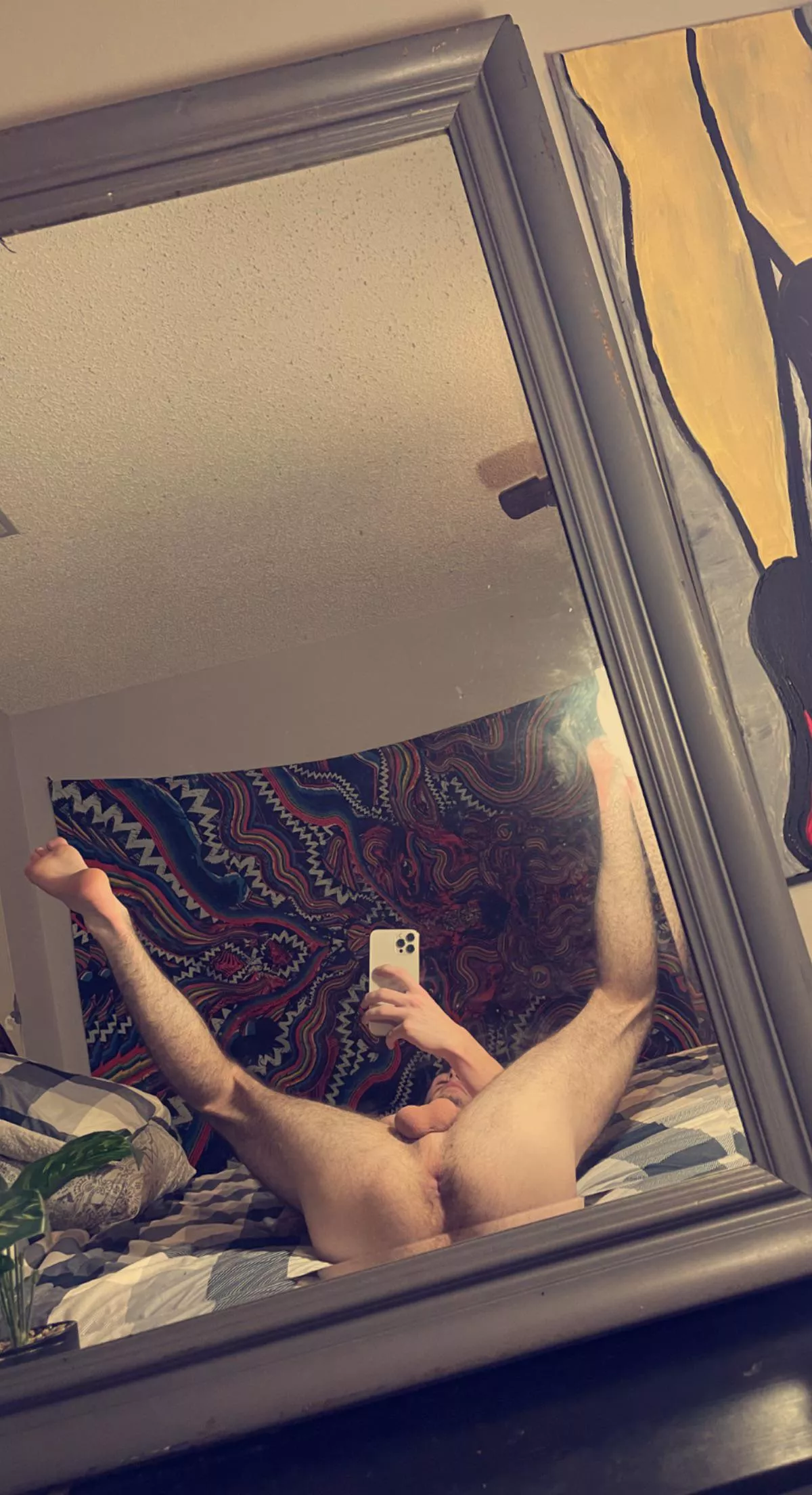 (21) would you eat my ass? posted by MaxPriceOF