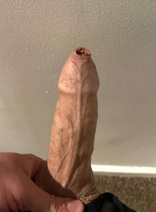 21y/o about to cum on flingster. Come find me by rx330