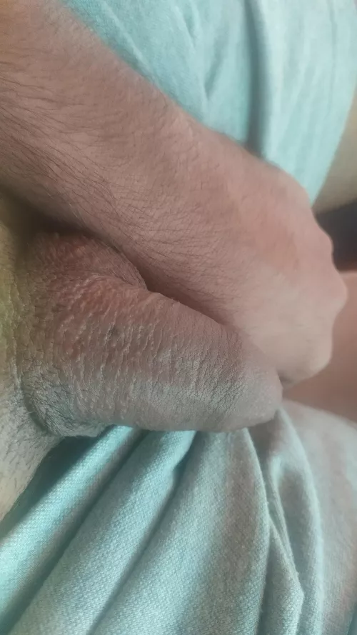 [22] Happy hump day everyone by pav555