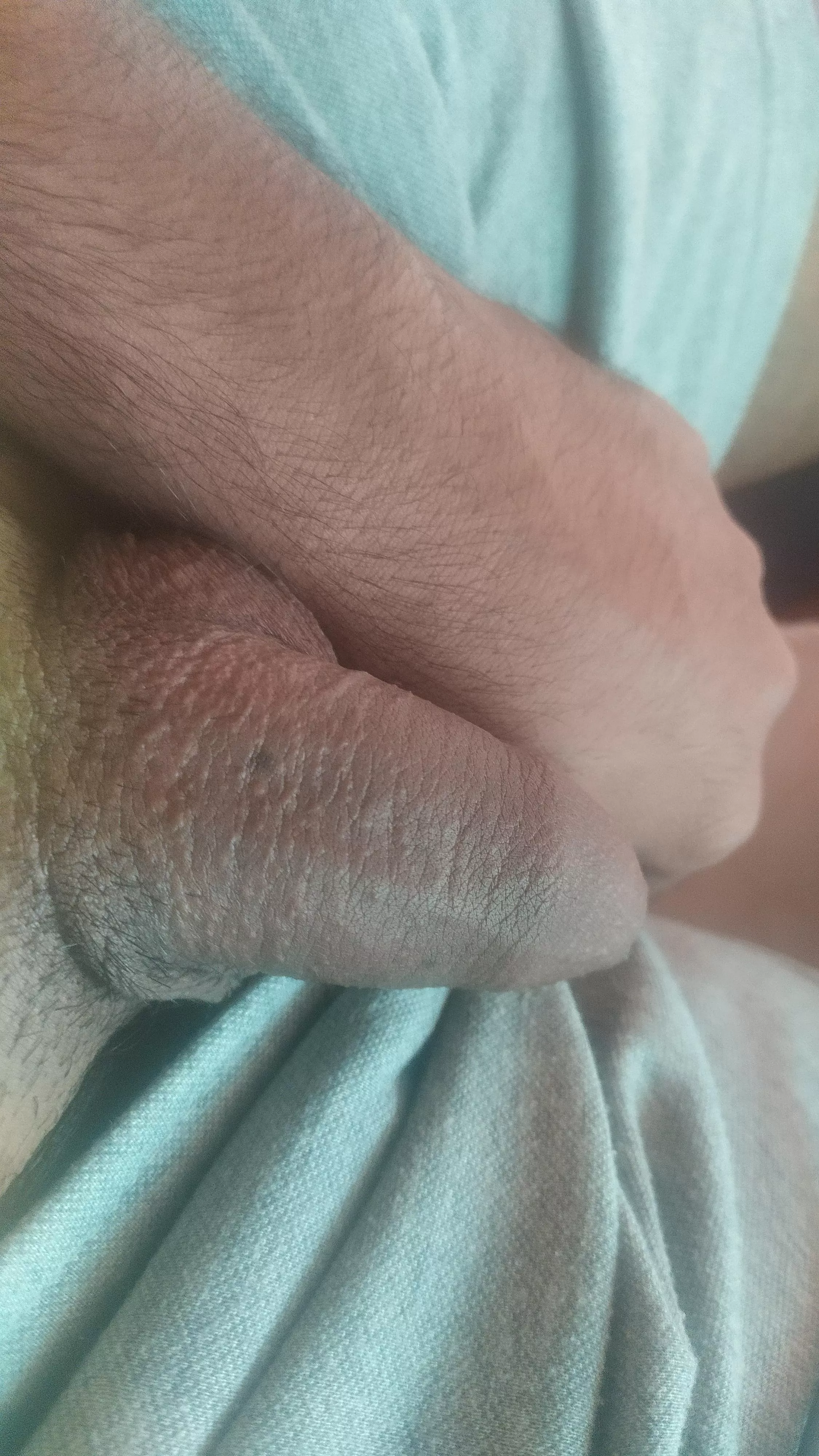 [22] Happy hump day everyone posted by pav555