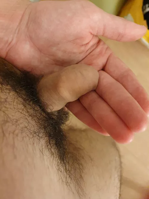 (22) My little dick is very small today by Kalvin99