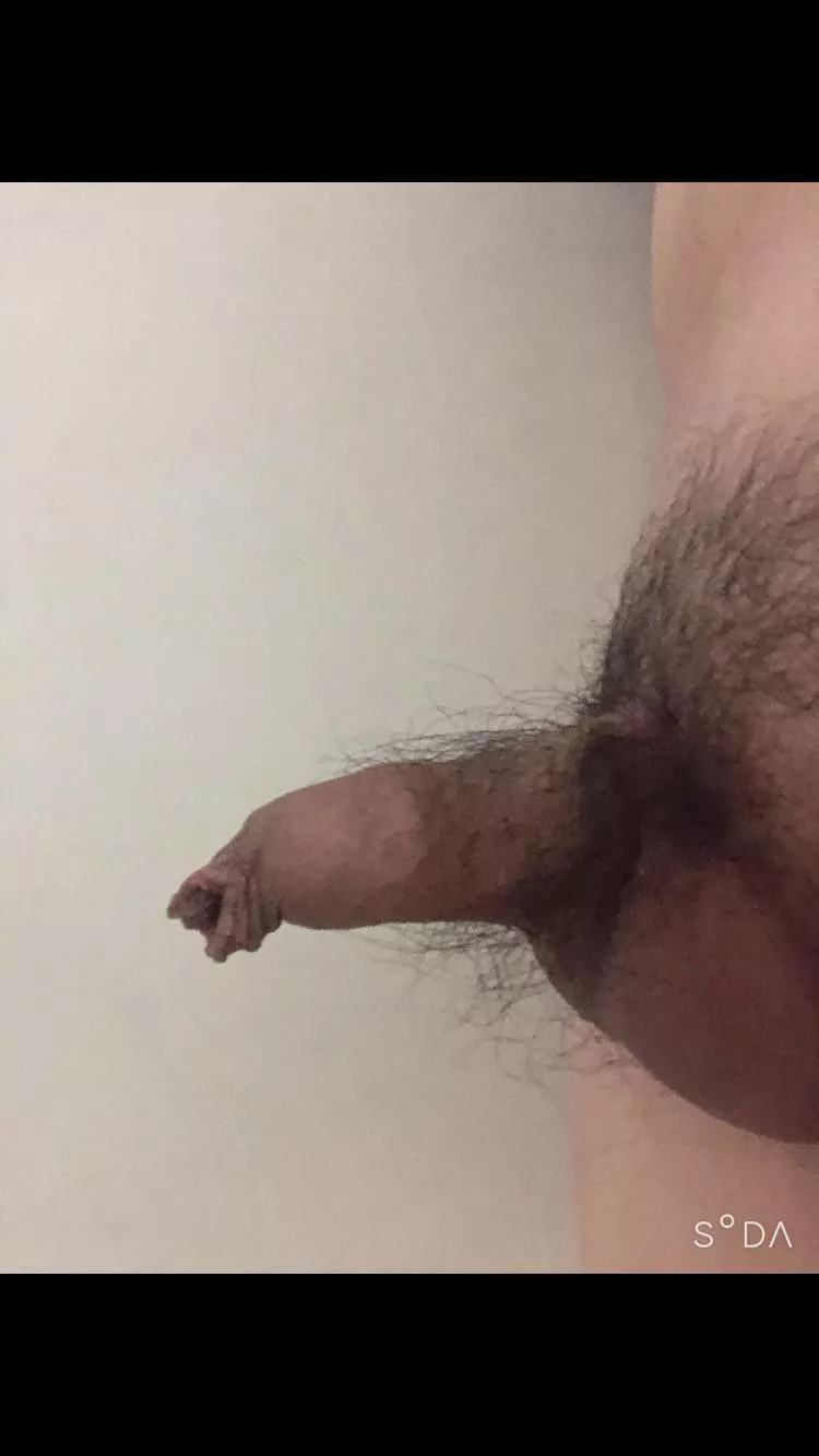 (22) tiny Korean dick posted by Correct_Ninja_7875