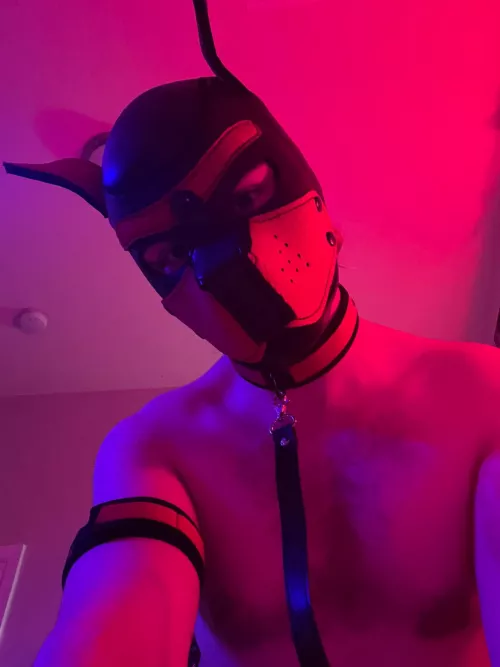 22m Good puppy looking for other young pups in Philly 🐶 by hoe-away-account69