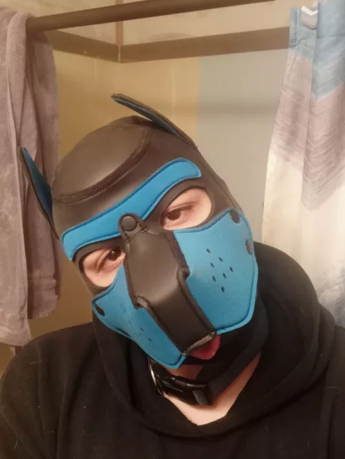 22m Pup in South Arkansas, looking for some friends to play with by Deji_Shad567