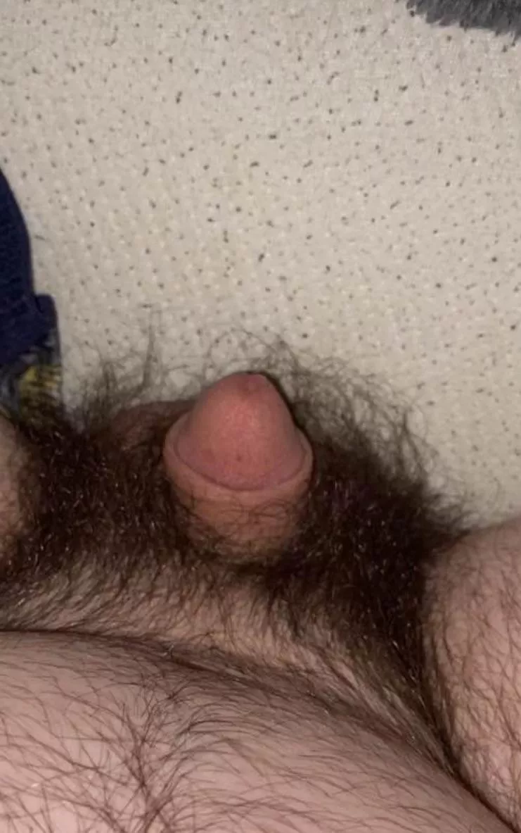 [23] can’t you tell I’m excited to see a mistress? posted by BONES7374