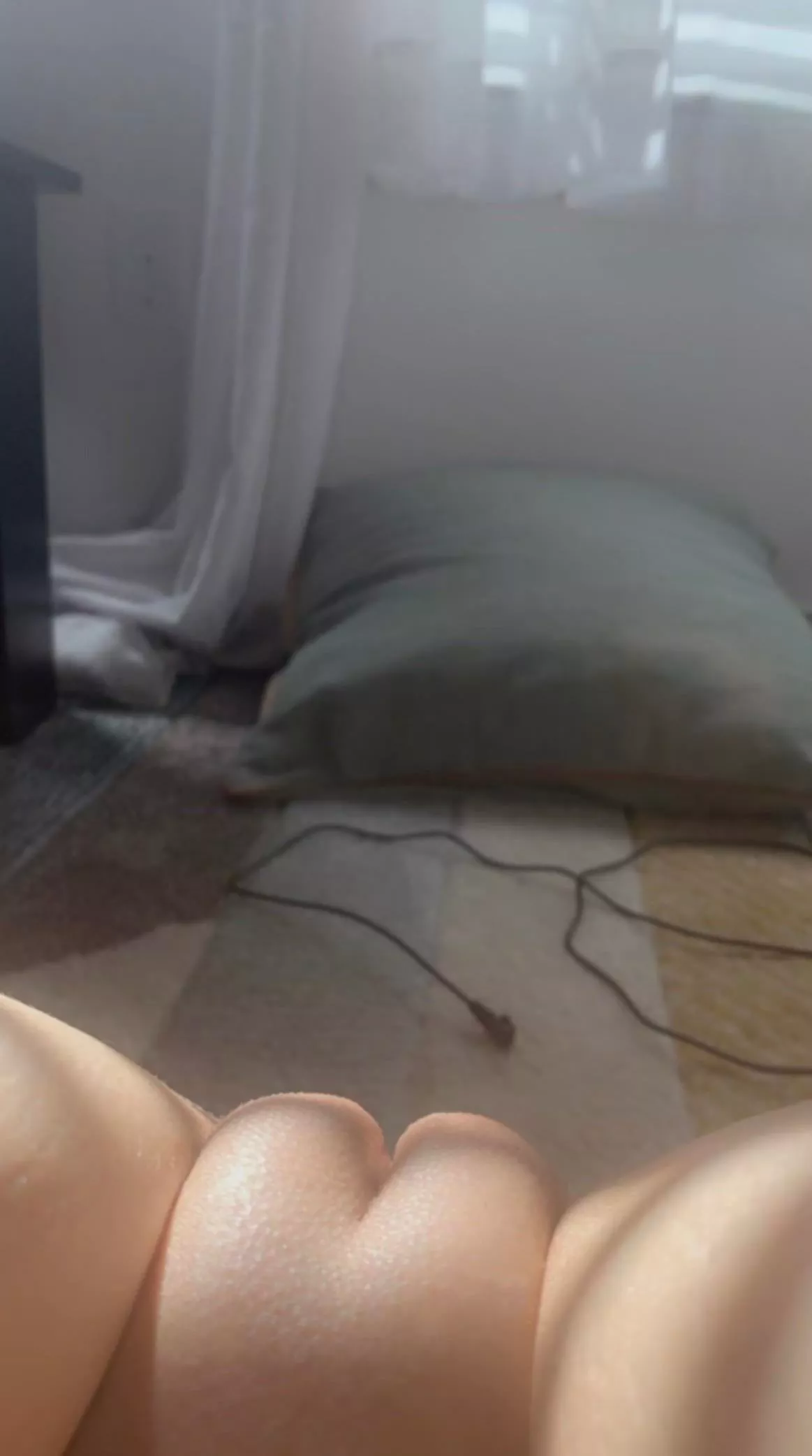 23 [F4M] Smash or pass? tap that up arrow and I'll send nudie for ur answer. [Snp][alina_rosen22] posted by hard_gf02