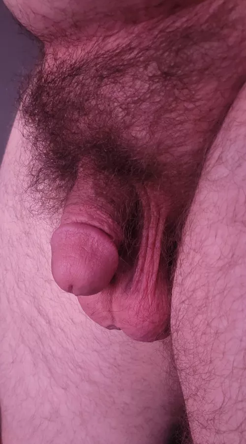 [23] he needs some attention 😋😜 by Big_Ben227