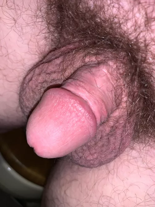 (23) I love showing off! Do you like it? by InitialArtistic6866