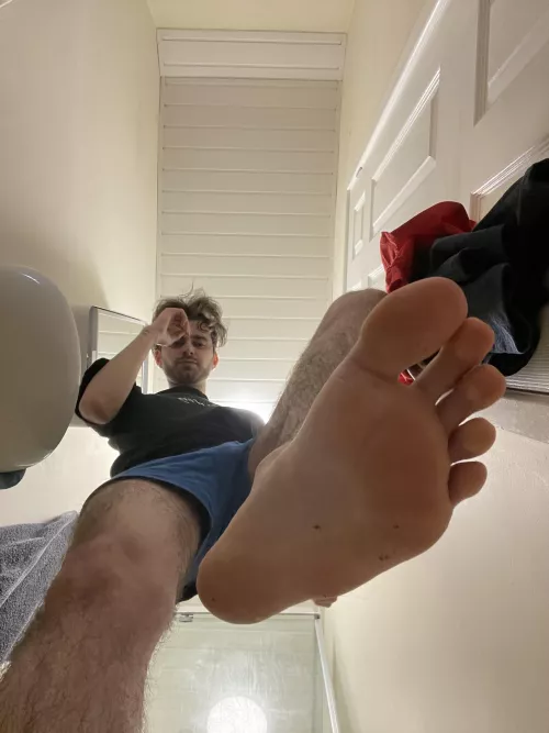 23/Bi by Safe-Principle2181