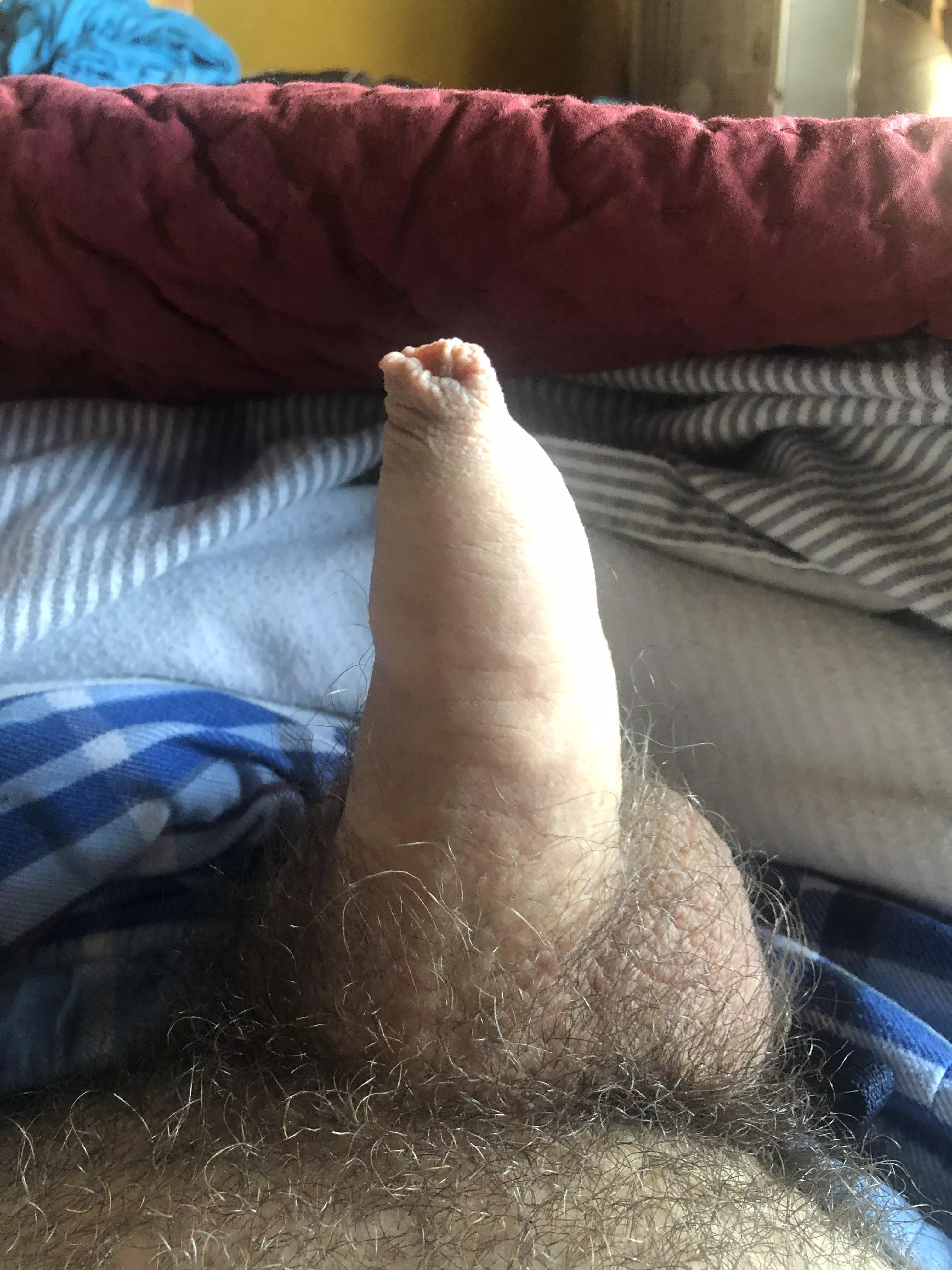 [24] How’s everyone doing today? posted by bensilas1