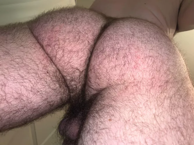 24 in shape bottom bro with a big furry ass. 😏 DM me or add my snap: FurryBass by furrybass1