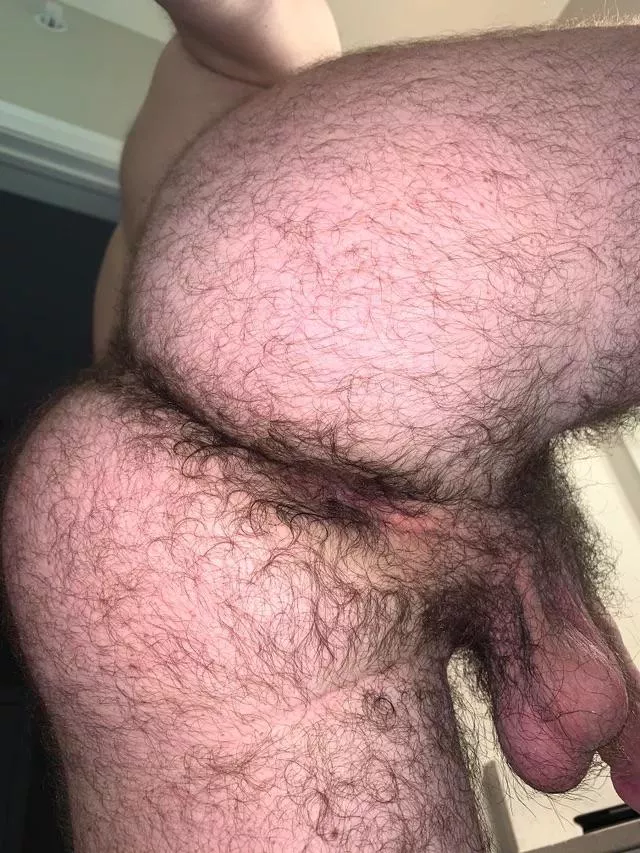 24 in shape bottom bro with a big furry ass. 😏 DM me or add my snap: FurryBass posted by furrybass1