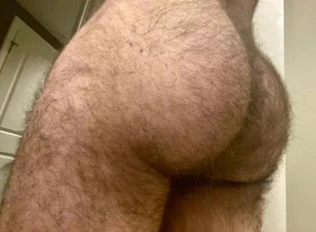 24 in shape bottom bro with a thicc furry ass. 🤪DMs are open! posted by sctbro
