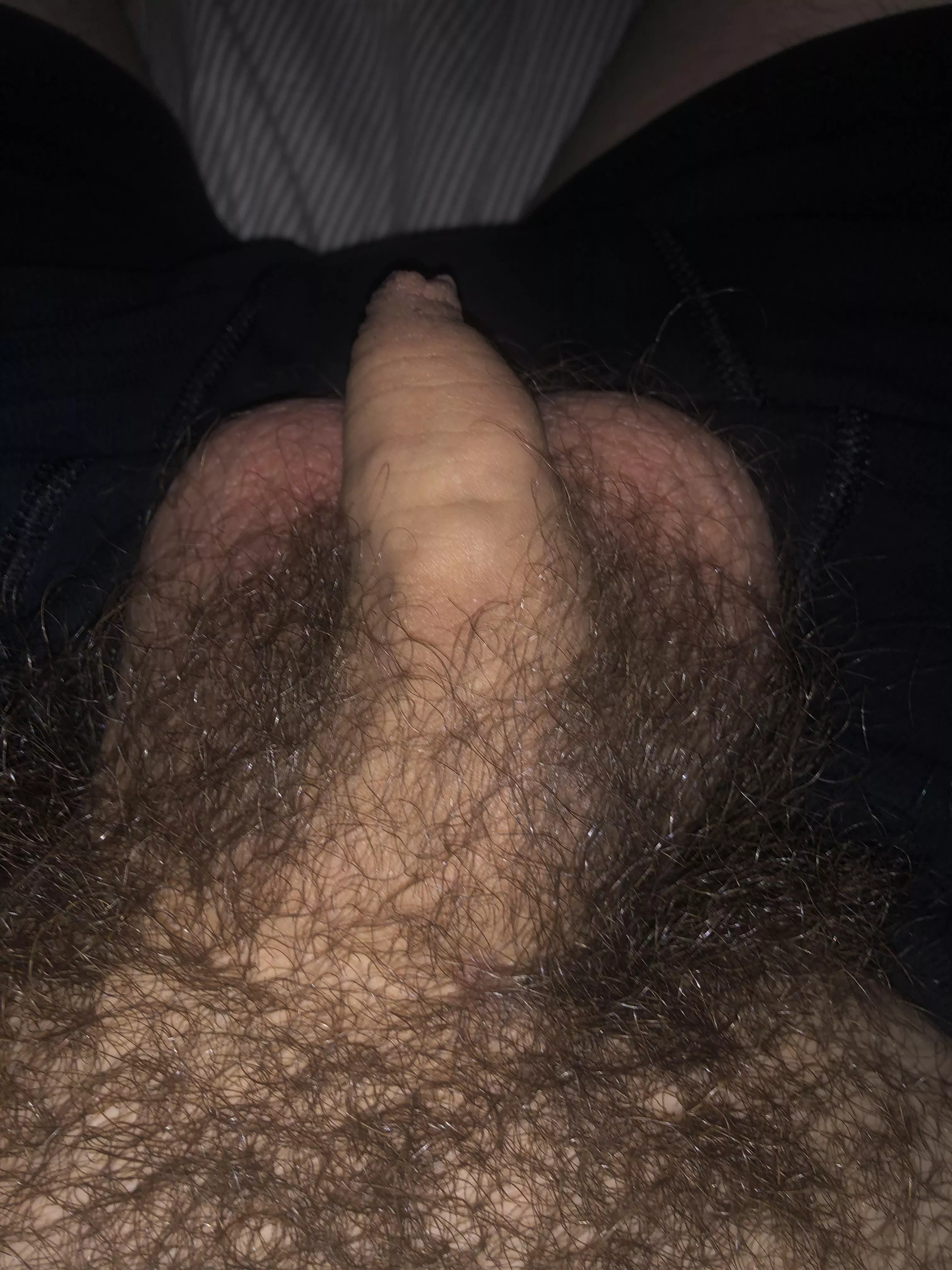 [24] lazy night posted by bensilas1