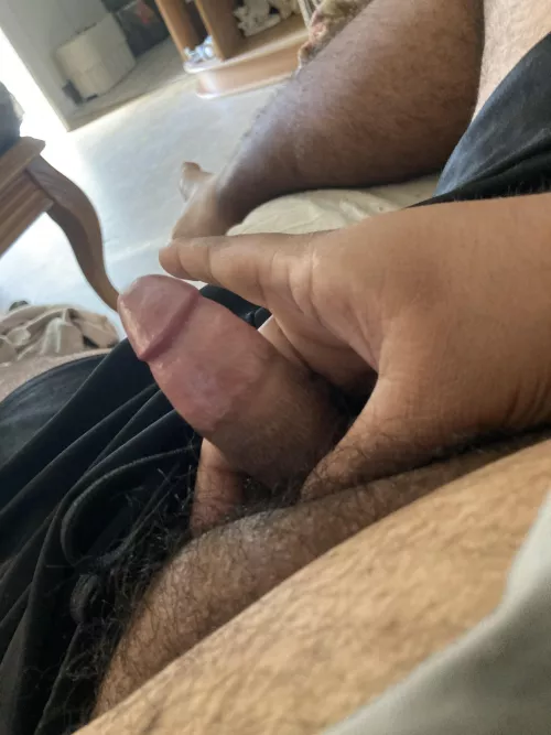 [24] mix chub / Bear from Florida by rainbowlgbt