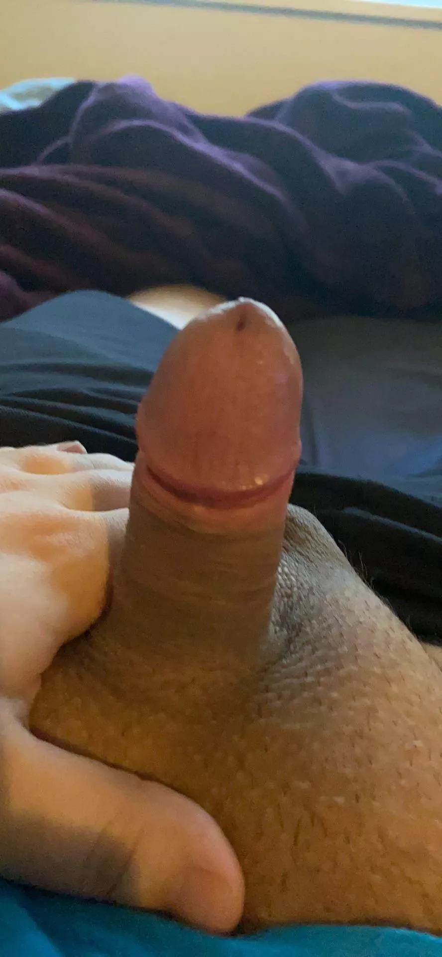 [24] that Friday feeling posted by combustionslug