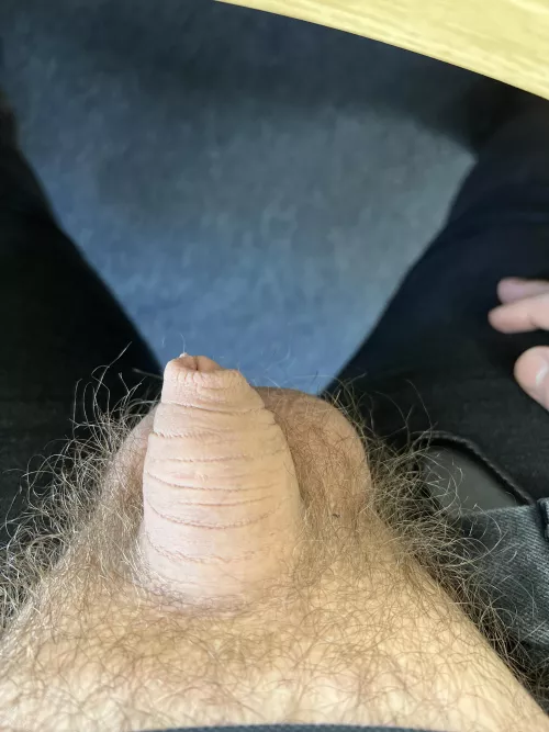 [24] tiny today by AGuyNamedRyan_