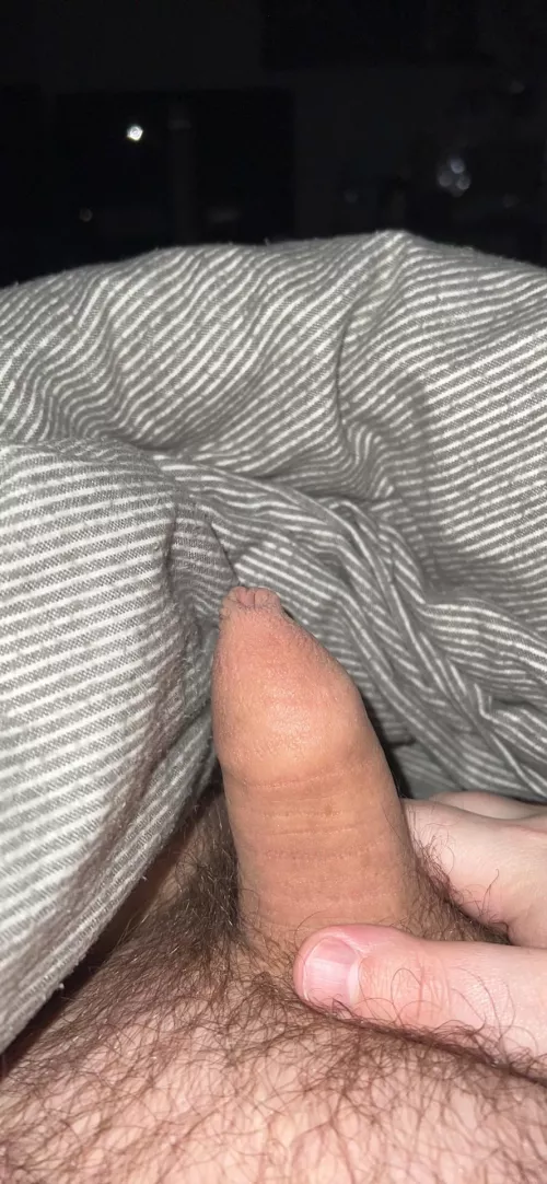 [24] very small by AGuyNamedRyan_