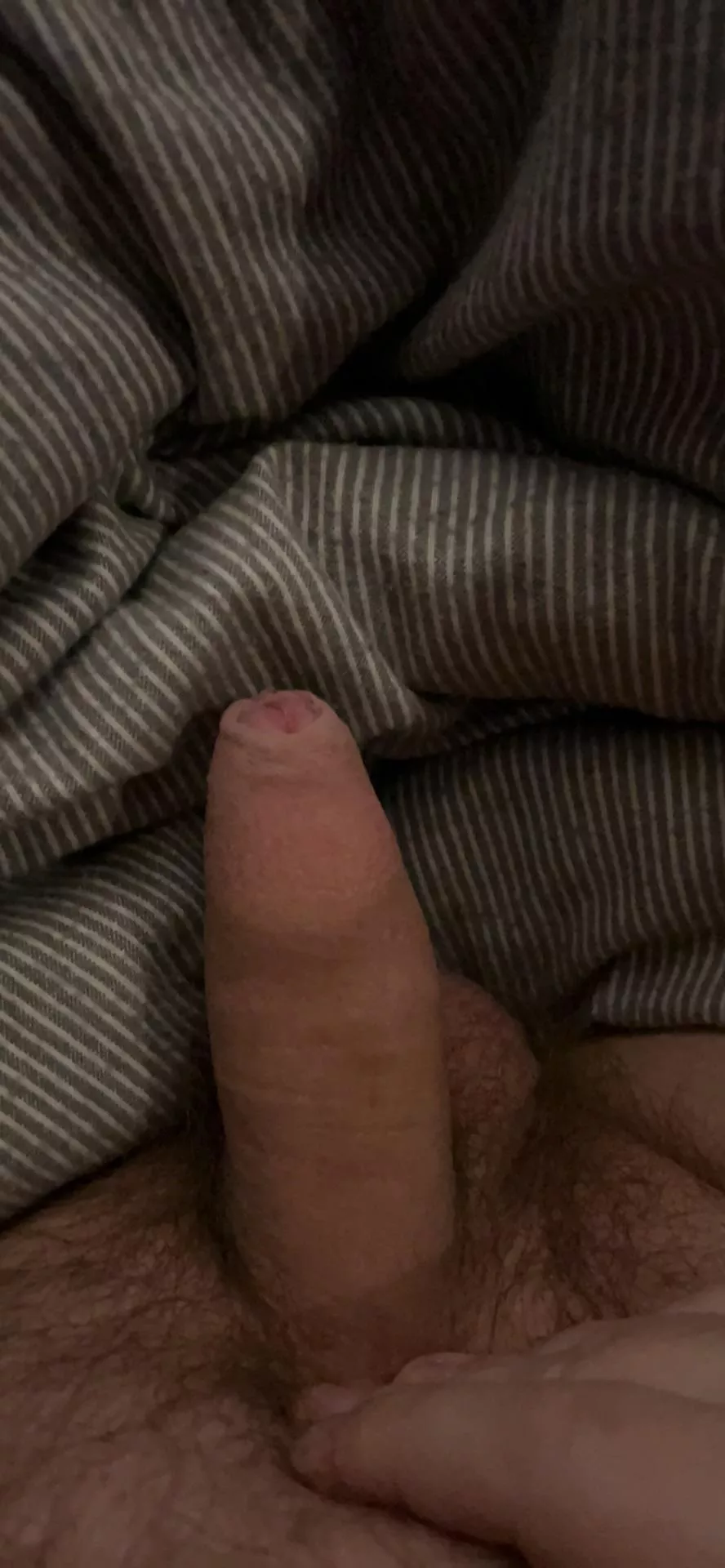 [24] wanna jerk off with me? posted by AGuyNamedRyan_