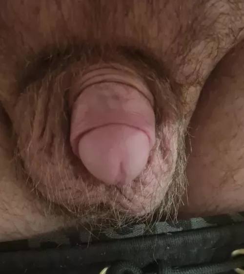 (25) Feeling rather small today by Acrobatic-Shine1639