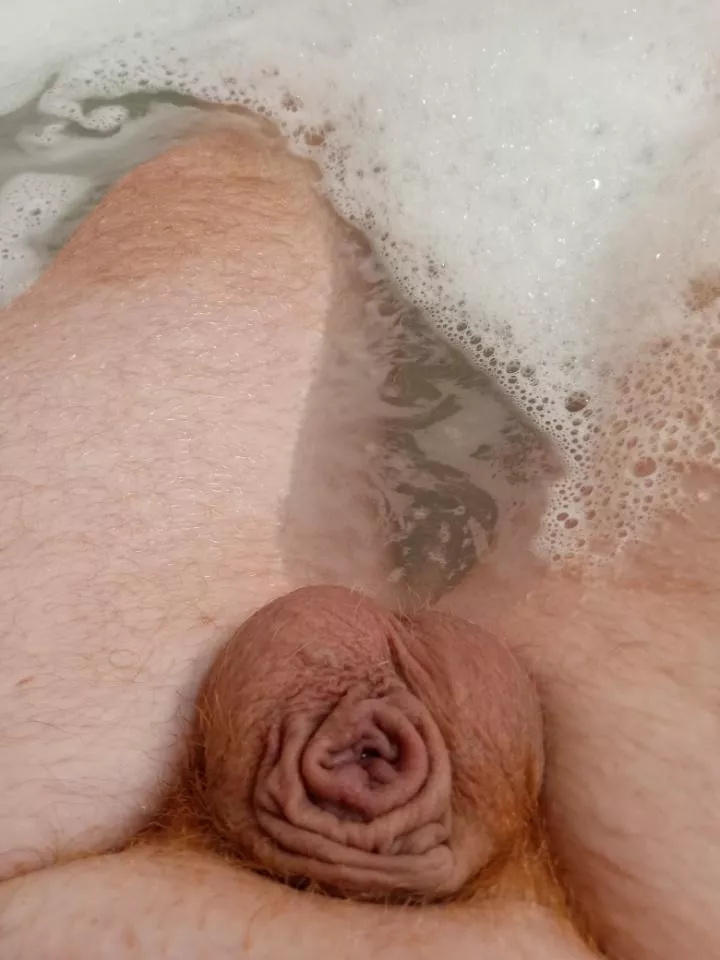 [25] I thought warm water was supposed to make it bigger.... posted by weinershortage