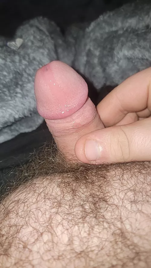 (25) just my little guy. pms open by smallppman99