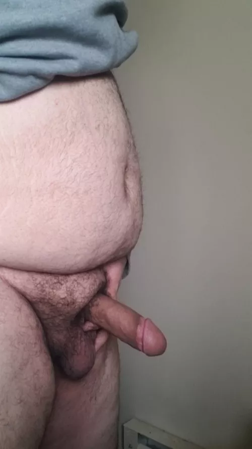 25 Latin bear by DetectiveBroad