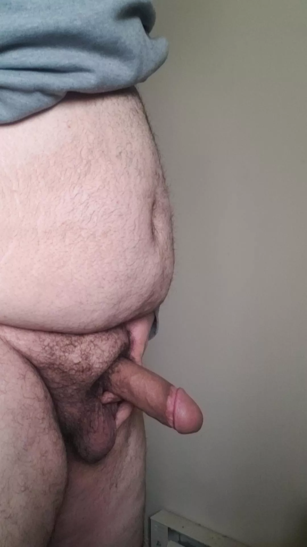 25 Latin bear posted by DetectiveBroad