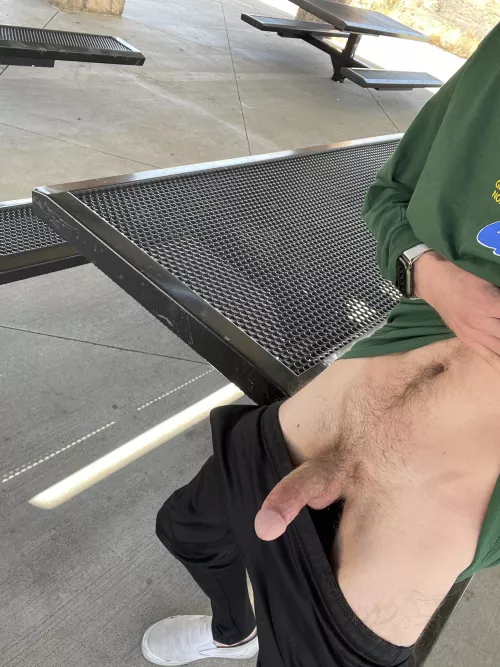 25 m. had to make a pit stop on my way home & show off my hard cock to everyone at the park by zms2600