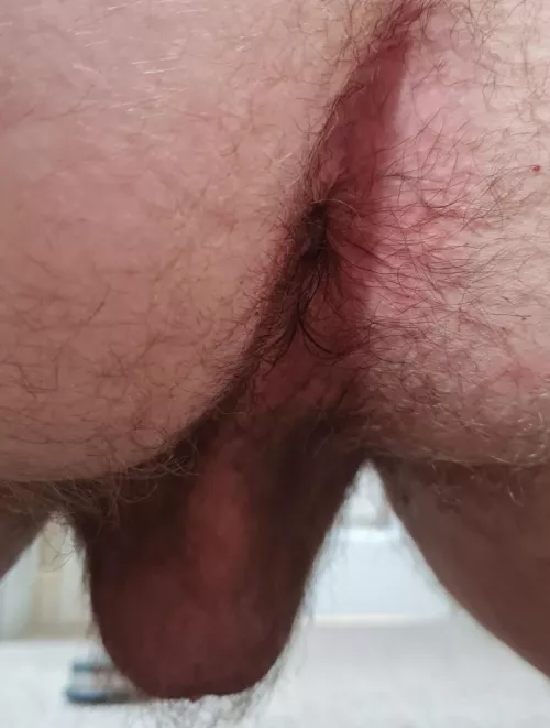 (25) My virgin ass by Acrobatic-Shine1639