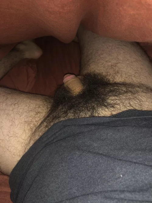 25 / thick, dark bush anyone? 😋 by ryansreign