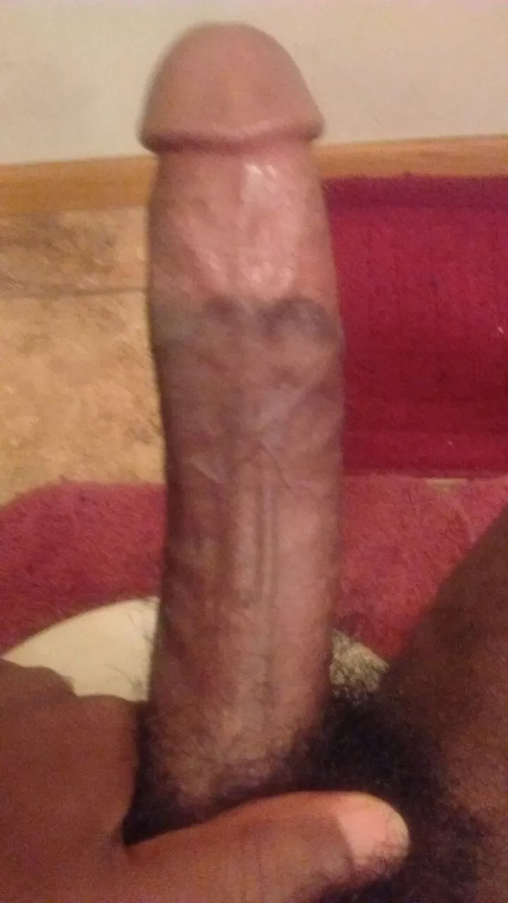 25m bbc bull here posted by blackking219