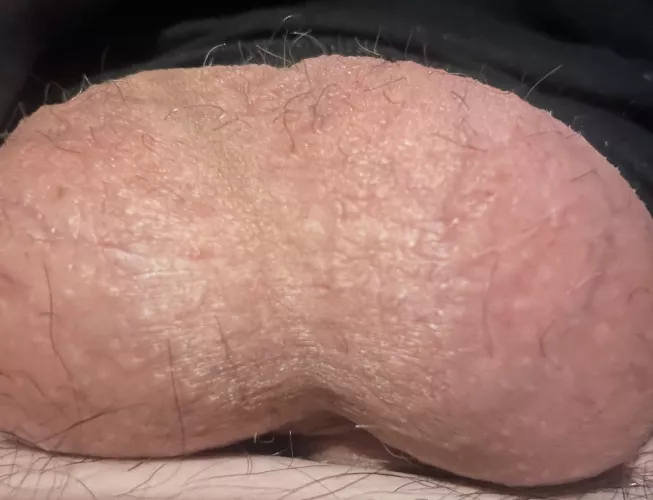 (26) appreciate the balls? by smallpphere