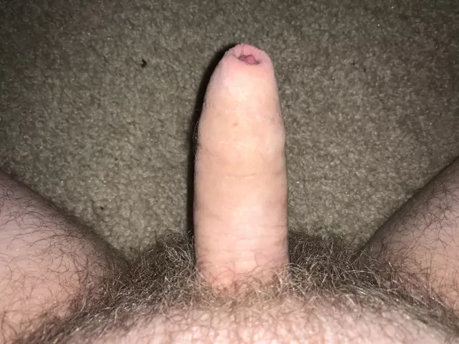 [26] What do you like about it by thinker555