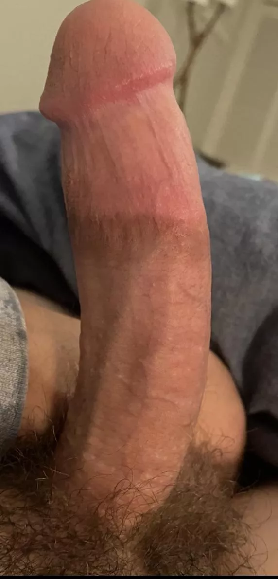 26 who else is horny? PM me posted by bigwillystyle43